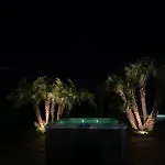 Il Sogno *